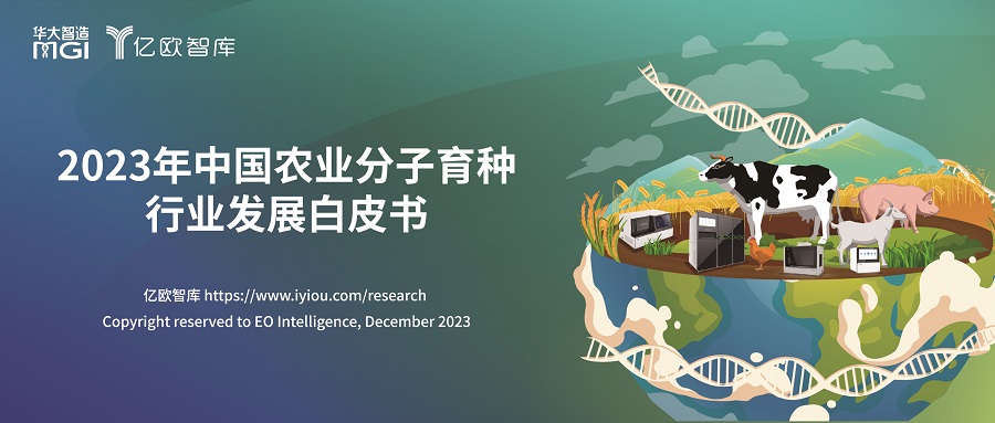 报告解读丨未来种业“扛把子”——从中国分子育种看农业科技创新之路