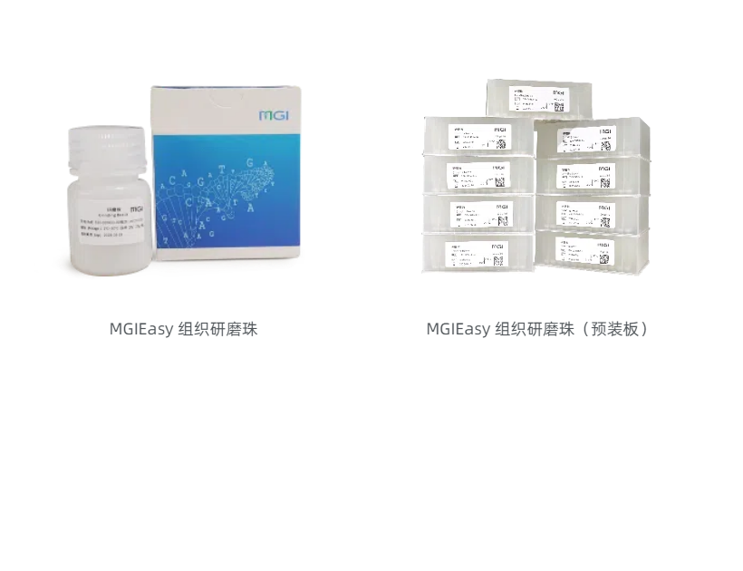 MGIEasy 组织研磨珠