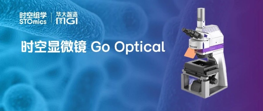 时空显微镜Go Optical开放预定！超清、超快、超大扫描范围，时空组学理想拍档